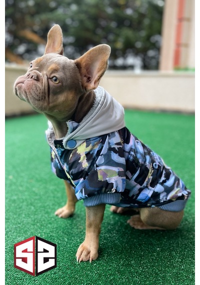 Grafiti Design Köpek Montu Km-108