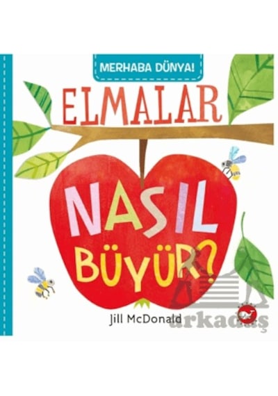 Merhaba Dünya Elmalar Nasıl Büyür Beyaz Balina Yayınları