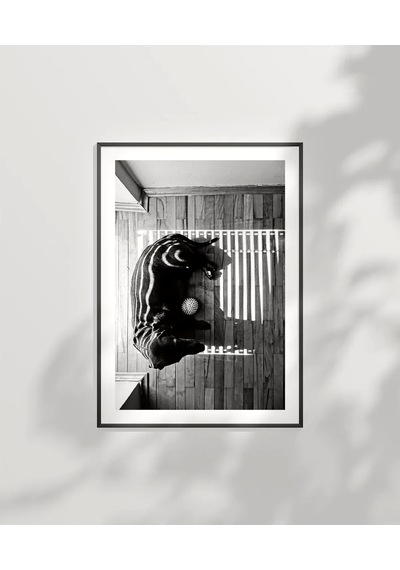 Çerçevesiz Poster Gölge Oyunları