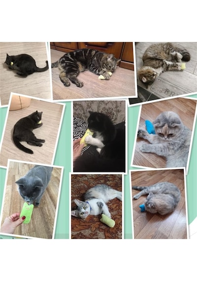 Madpet Catnip Kedi Oyuncağı Mavi Sesli Peluş Kedi Oyuncak, Isırınca Ses Çıkaran Plush Cat Toy, Yumuşak Dayan
