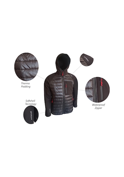 Evolite Shadow Softshell Mont Çok Renkli