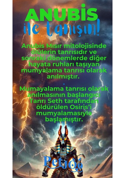 Petjoo 30.Anubis Mavi-Yeşil Qr'lı Köpek Künyesi