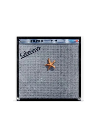 The Neighbourhood Ultrasound + Orange Coloured Edition Double L