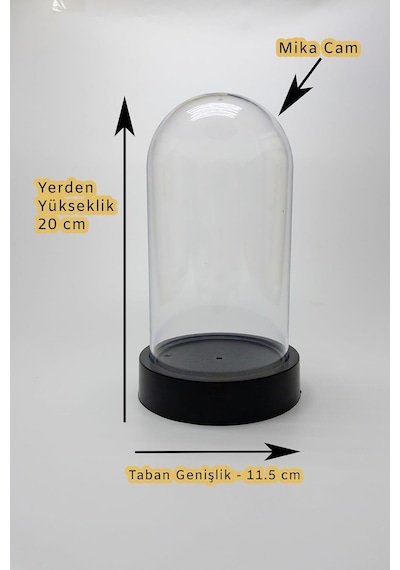 Doğum Günü, Kadınlar Günü Hediyesi, Fanus İçinde Şeffaf Sonsuzluk Gülü Ve Gün Işığı Ledli Dekor Standart