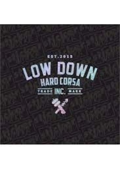 Low Down Hard Corsa Arka Cam Yeni Süper Hologram Sticker