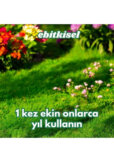 Ayrex Ebitkisel Çok Yıllık Çim Tohumu 5 Kg Uzun Ömürlü 6'li Karışım Gölge Ve Aşırı Güneşli Alan Uygun Ye 0,250