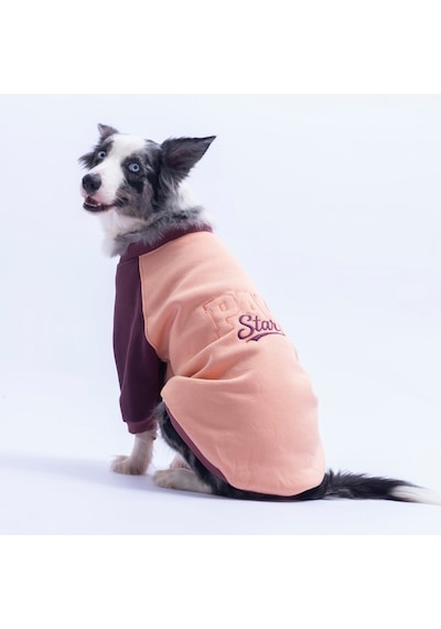 Somon Boston Pawstar Sweat Orta-büyük Irk Köpek Sweatshirt Köpek Sweat Köpek Kıyafeti