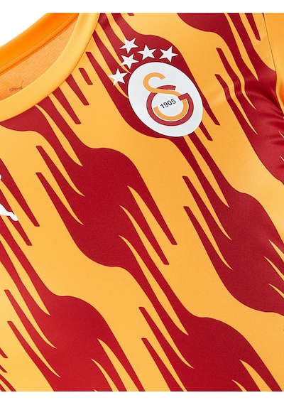 Galatasaray Lisanslı Puma A Takım Sarı - Kırmızı Antreman T-shirt Aslan Ahşap Kutulu 77969304