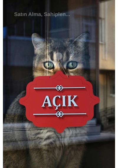 Ahşap Dekoratif Kesim Açık-kapalı Yazısı -kırmızı