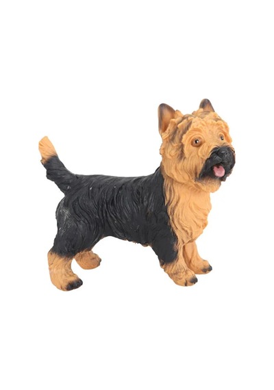 Model Köpek Sarı Siyah Yorkshire Terrier