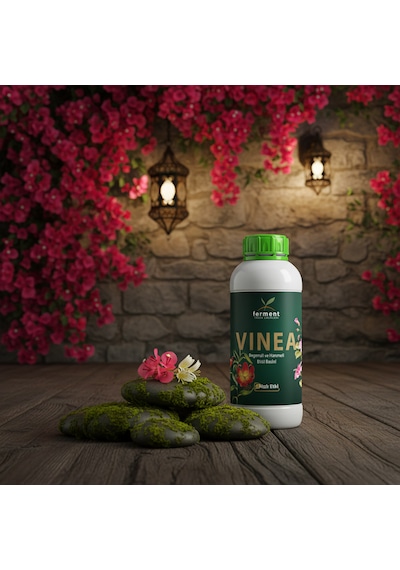 Vinea İkili 500 Ml 2 Adet Dış Mekan Süs Bitkisi Besini - Begonvil Ve Hanımeli İçin Hızlı Büyüme 500 ML