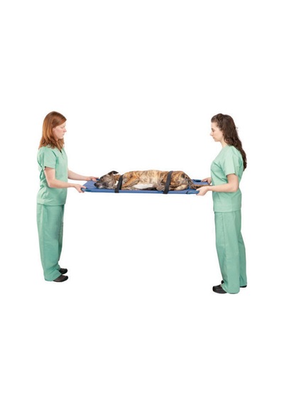 Köpek Taşıma  Sedyesi