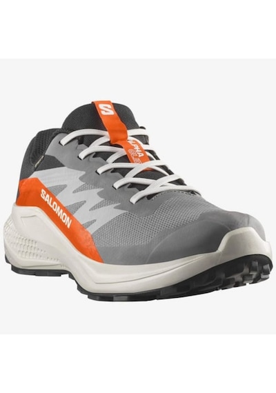 Salomon Alphaglide Gore-tex Erkek Outdoor Koşu Ayakkabısı L47975300 Gri Gri