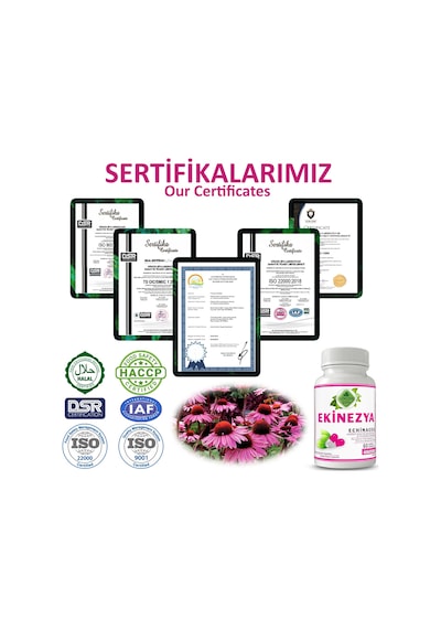 Gökçek Şifa 1000 MG Ekinezya (Echinacea Capsule) 60 Kapsül