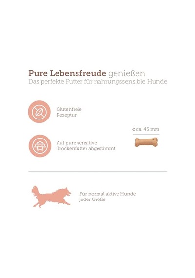Pure Sensitive Somonlu Ve Pirinçli Köpek Bisküvisi 600 Gram