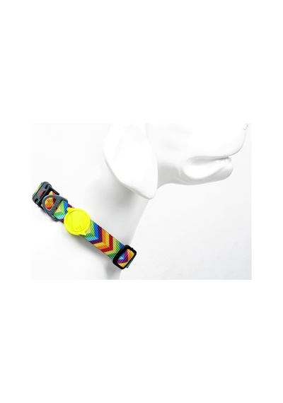 Tailpetz Boyun Tasmaları Large, Raınbow Çok Renkli
