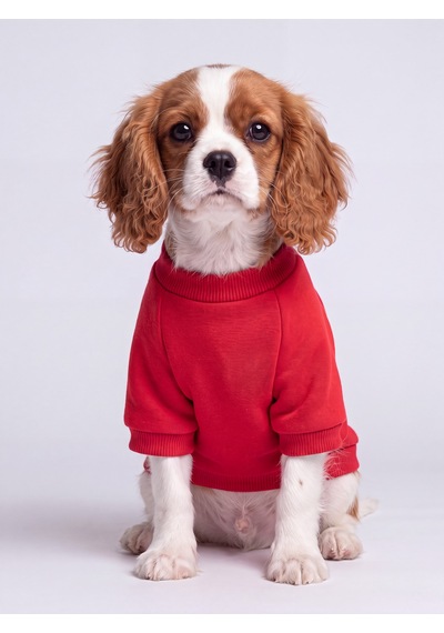 Kiki Kiraz Detaylı Kırmızı Köpek Polar Sweatshirt