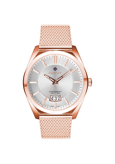 Gant Stanton G143004 Altın - Mavi