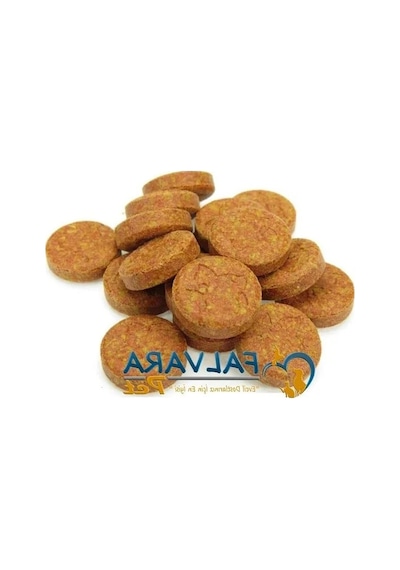 Bölme Tablet Balık Yemi, 100 Adet, Tropical Vitality&color