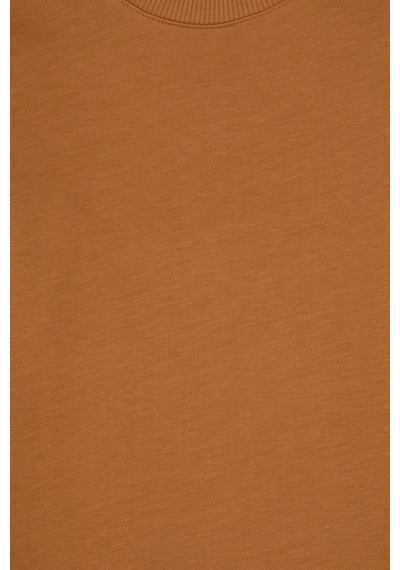 U.S. Polo Assn. Erkek Çocuk Camel Bisiklet Yaka Basic Sweatshirt 50313831-VR233 U.S. Polo Assn. Erkek Çocuk Camel Bisiklet Yaka Basic Sweatshirt 50313831-VR233