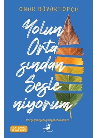 Yolun Ortasından Sesleniyorum - Onur Büyüktopçu - Olimpos Yayınları