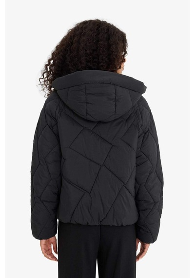 Defacto Su Geçirmez Regular Fit Kapüşonlu Mont F2803ax25wnbk27 Siyah-bk27
