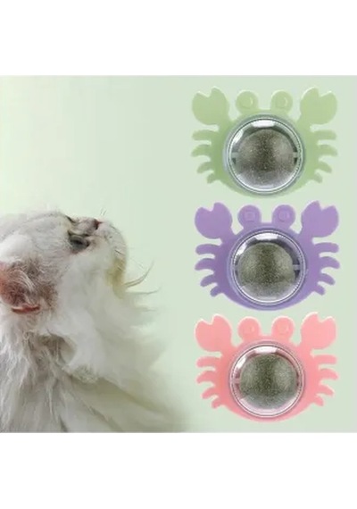 Bay Yengeç Kedi Otu Oyun Topu Najmaddin