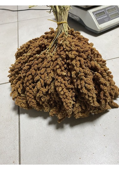 Mezbi Doğal Dal Darı Özel 1 KG