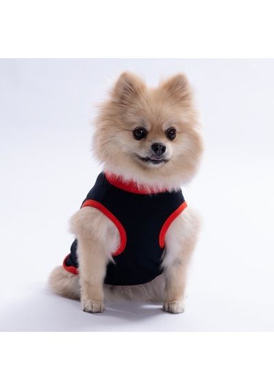 Lacivert Keep Show-ıng Up Tişört Kedi Köpek Tişörtü-kedi Köpek Kıyafeti