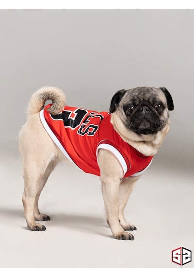Salya Store Chicago Yazlık Köpek Forma Kedi Köpek Kıyafeti Küçük Irk