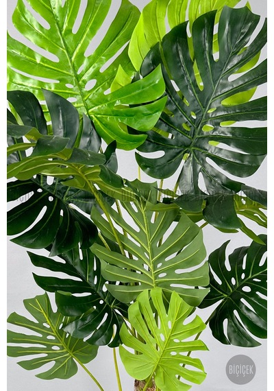 Yapay Monstera Ağacı Deve Tabani 200 Cm Si Yah Li Lyum Saksıda Siyah