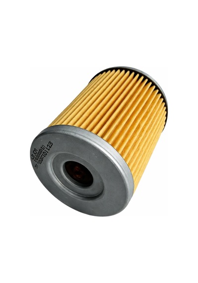 Ramzey Gy 200 - Pioneer Xf 200 Yağ Filtresi