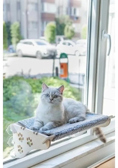 Vantuzlu Gri Kedi Yatağı, X-large Açik Mavi