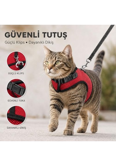Heads Up For Tails Tahılsız Kuzu Etli Ve Yaban Mersinli Yetişkin Kedi Sı 5 Kg 100 G
