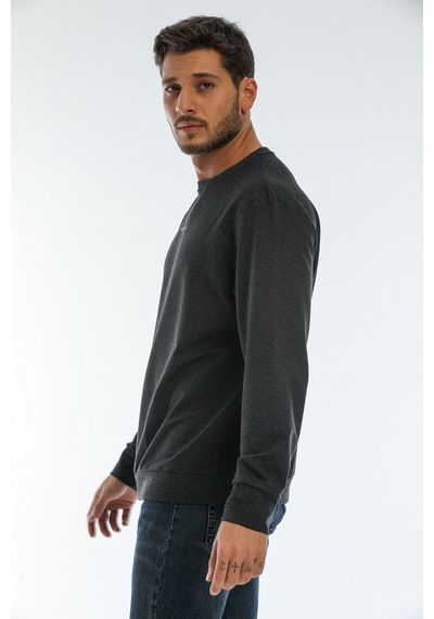 Süperlife Erkek Bisiklet Yaka Regular Fit Brooklyn Baskılı İnce Sweatshirt Spr22sw132 Antrasit Süperlife Erkek Bisiklet Yaka Regular Fit Brooklyn Baskılı İnce Sweatshirt Spr22sw132 Antrasit
