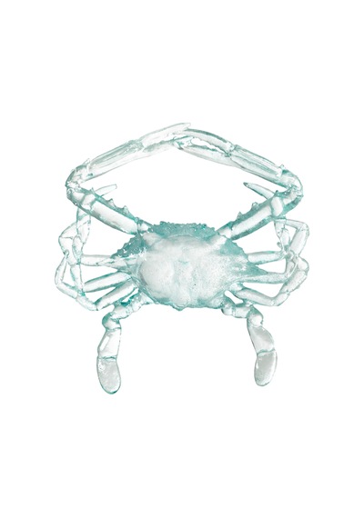 Mudo Home Ocean Crab Biblo 16x17x3 Cm