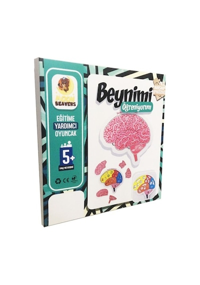Moon Beavers Beynimi Öğreniyorum Ahşap Eğitici Oyun