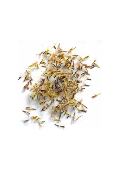 Stevia Tohumu Şeker Otu Tohumu 10 Tohum + Tohum