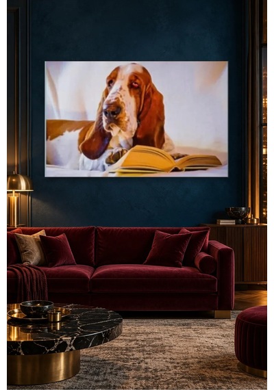 Fida Kitap Okuyan Basset Hound Canvas Tablo Çok Renkli