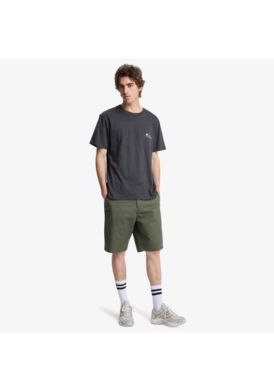 Quiksilver Fruits Tide Erkek Gri T-shirt Eqyzt08285