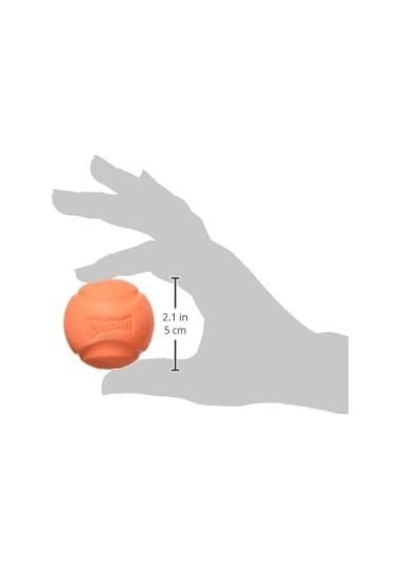 Ayrex Chuckit Fetch Ball 2'li Köpek Oyun Topu Küçük Boy