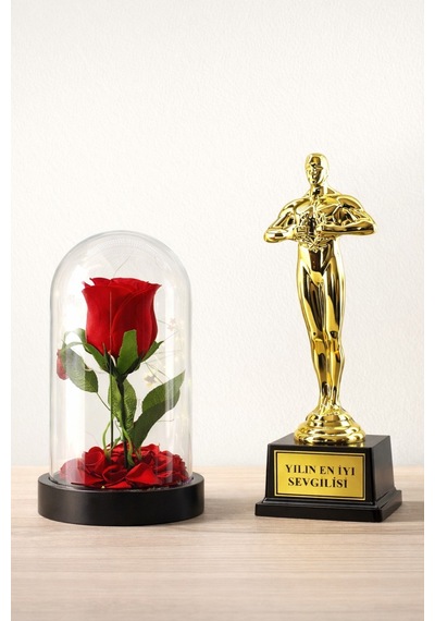 Home Dekor Hediye Sevgililer Gününe Romantik Hediye Yılın En İyi Sevgilisi Oscar Biblo Ve Işıklı Mika Fanus Gül Seti