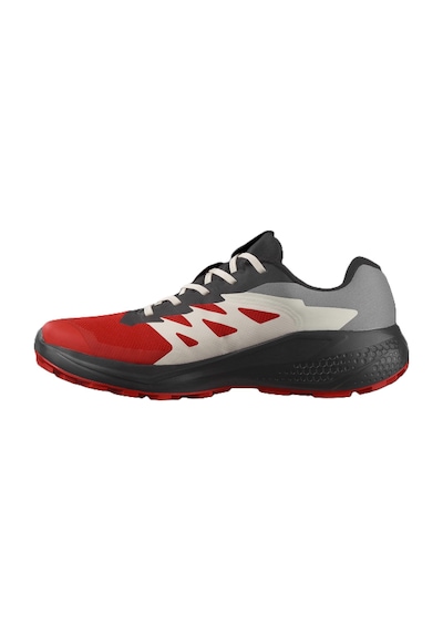 Salomon Alphaglıde Gore-tex Erkek Ayakkabısı L47975200 Çok Renkli