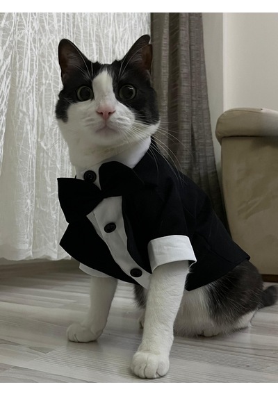 Gobo Papyonlu Smokin Damatlık Kedi Köpek Giyim Takım Elbise