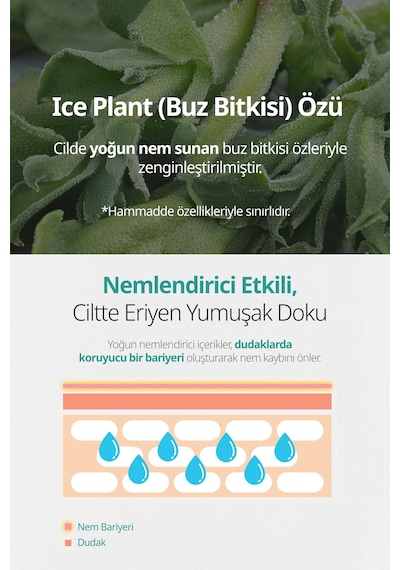 Yapışkanlık Hissi Bırakmayan Renkli Dudak Balmı A'pıeu Juicy Pang Care Lip Balm 03 Red Balm
