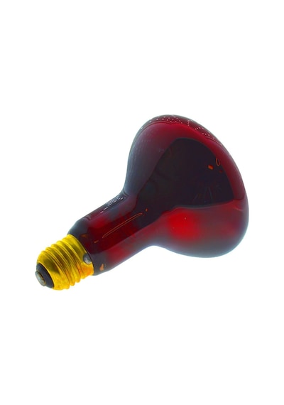 Şavk 100W Isı Ampulü R95 220V Kırmızı Cam