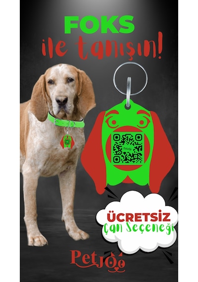 Petjoo 29.Foks Kırmızı-Yeşil Qr'lı Köpek Künyesi