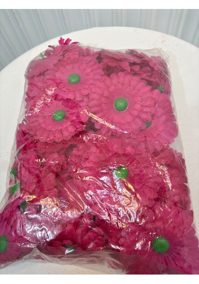 Kırmızı Gerbera Çiçekleri 75 Adet