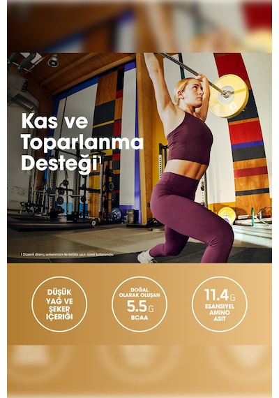 Gold Standard Isolate Çikolata Aromalı Yüksek Protein İzolatı 700g Kasgelişimi Ve Düşük Karbonhidrat Çikolata
