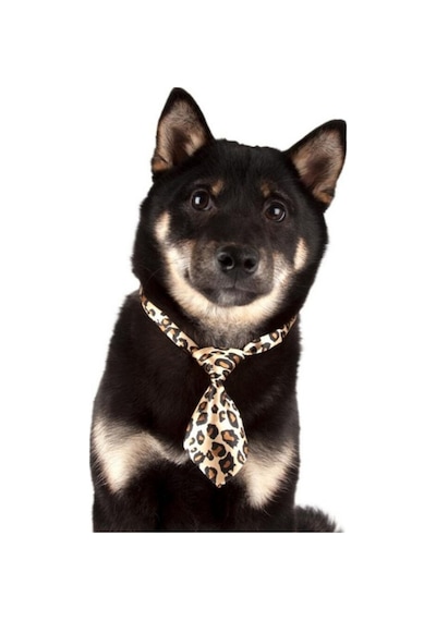 Show Tech Kedi Köpek Desenli Kravat Aksesuar 10 Adetli Paket